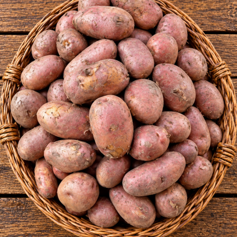 Codex Image Sep 16, 2026, 05_28_07 PM Irish Potatoes
