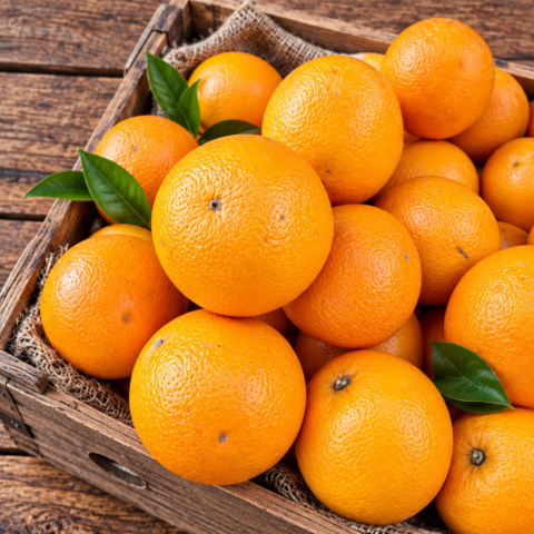 Codex Image Sep 16, 2026, 05_31_30 PM Oranges