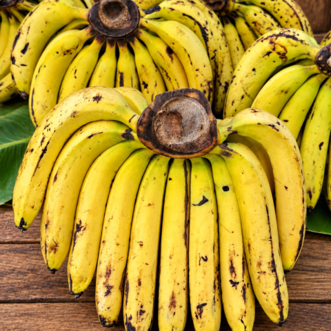Codex Image Sep 16, 2026, 05_44_21 PM Bananas