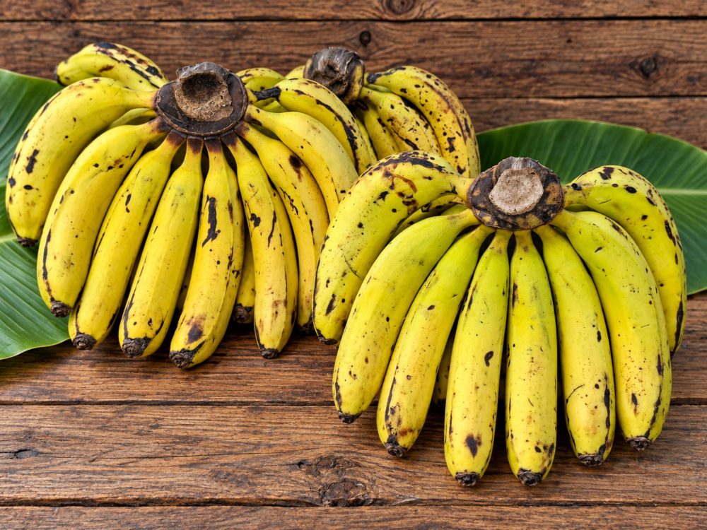 Codex Image Sep 16, 2026, 05_45_46 PM Bananas