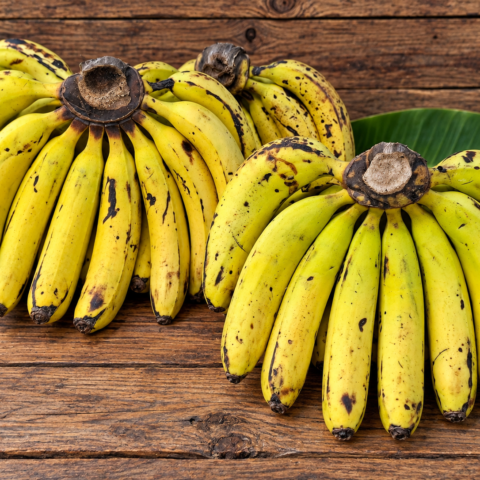 Codex Image Sep 16, 2026, 05_45_46 PM Bananas